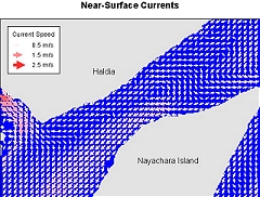Strömungs-Simulation